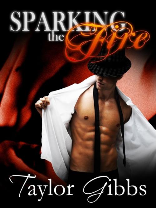Cover of the book Sparking The Fire by Taylor Gibbs, Taylor Gibbs