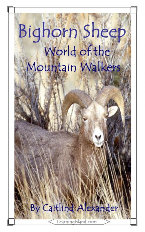 Cover of the book Bighorn Sheep: World of the Mountain Walkers by Caitlind L. Alexander, LearningIsland.com