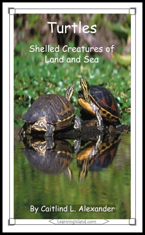 Cover of the book Turtles: Shelled Creatures of Land and Sea by Caitlind L. Alexander, LearningIsland.com