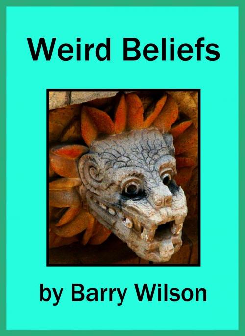 Cover of the book Weird Beliefs by Barry Wilson, Barry Wilson