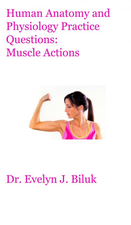 Cover of the book Human Anatomy and Physiology Practice Questions: Muscle Actions by Dr. Evelyn J Biluk, Dr. Evelyn J Biluk