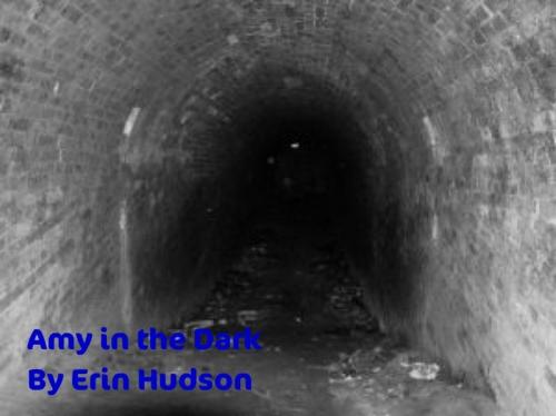 Cover of the book Amy In the Dark by erin hudson, erin hudson