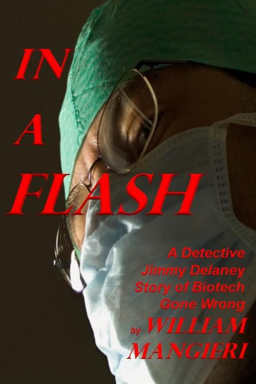 Cover of the book In A Flash by William Mangieri, William Mangieri