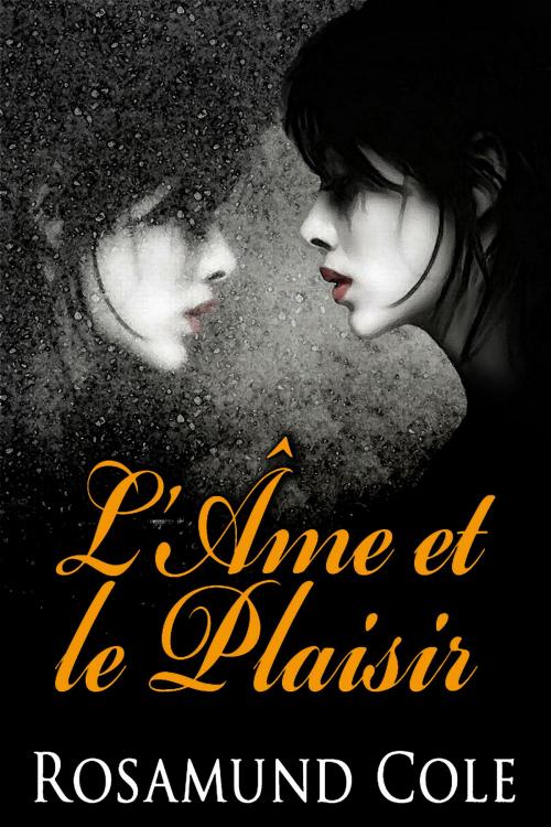 Cover of the book L'Âme et le Plaisir by Rosamund Cole, Nyx Editions