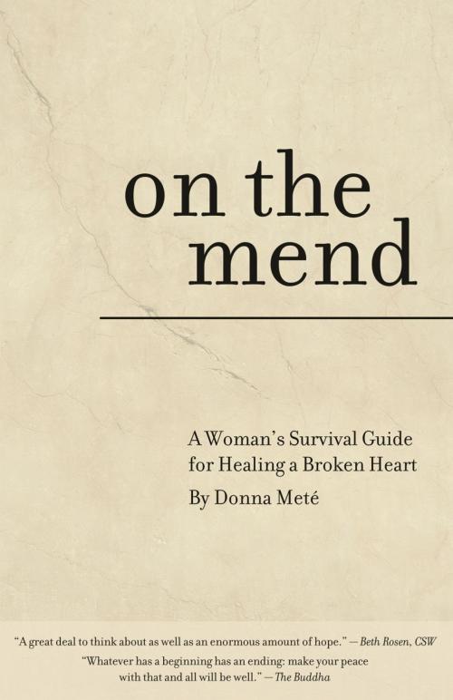 Cover of the book On the Mend by Donna Meté, Donna Meté