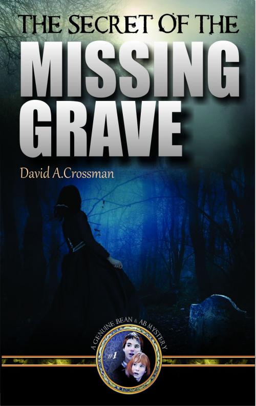Cover of the book The Secret of the Missing Grave: the first Bean and Ab mystery by David Crossman, David Crossman