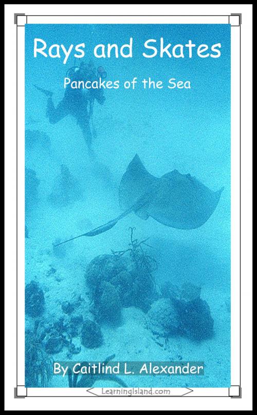 Cover of the book Rays and Skates: Pancakes of the Sea by Caitlind L. Alexander, LearningIsland.com