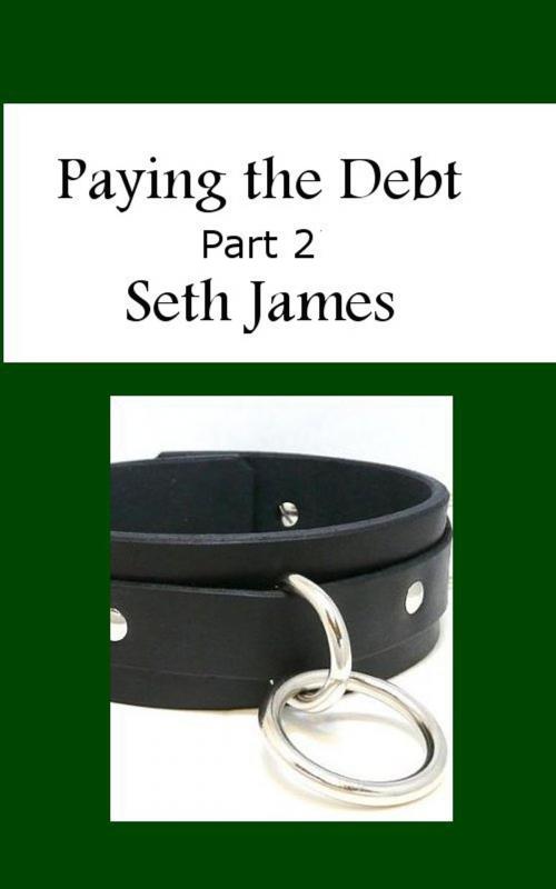 Cover of the book Paying the Debt, Part 2 by Seth James, Seth James