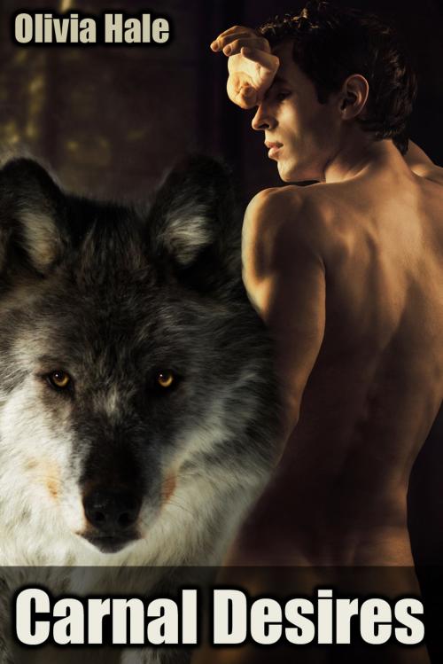 Cover of the book Carnal Desires by Olivia Hale, Olivia Hale