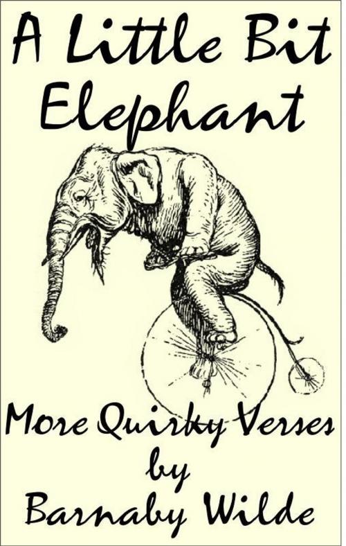 Cover of the book A Little Bit Elephant by Barnaby Wilde, Barnaby Wilde