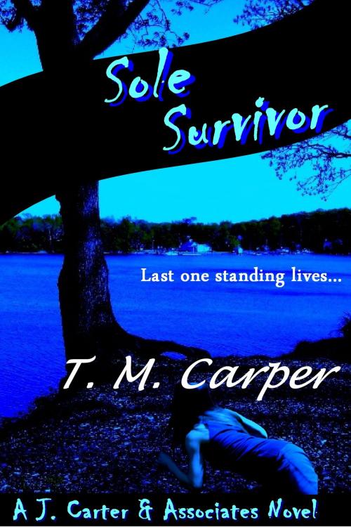 Cover of the book Sole Survivor: A J. Carter & Associates Novel by T. M. Carper, T. M. Carper
