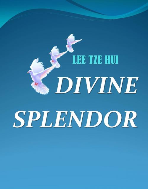 Cover of the book Divine Splendor by Lee Tze Hui, Lee Tze Hui
