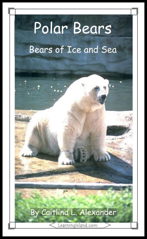 Cover of the book Polar Bears: Bears of Ice and Sea by Caitlind L. Alexander, LearningIsland.com