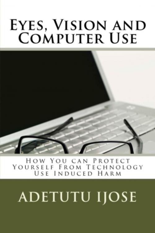 Cover of the book Eyes Vision and Computer Use by Adetutu Ijose, Adetutu Ijose