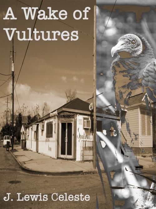 Cover of the book A Wake of Vultures by J. Lewis Celeste, J. Lewis Celeste