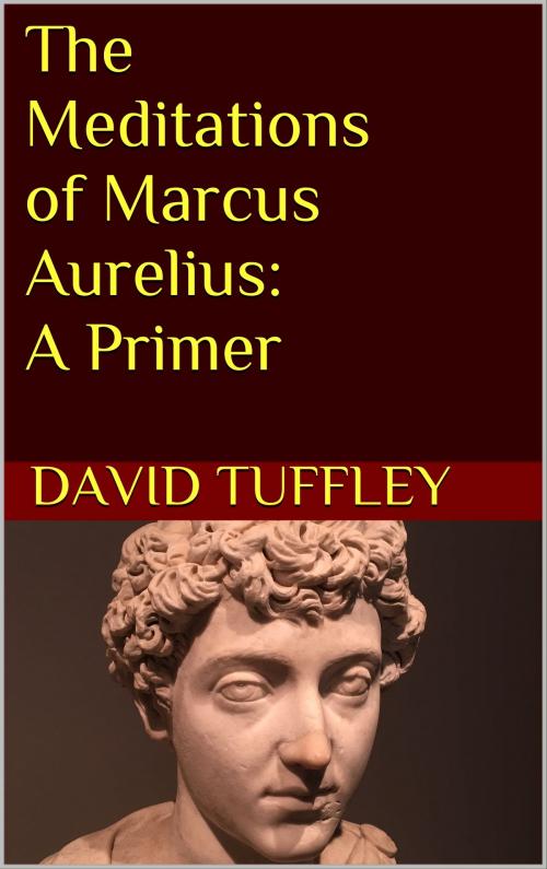 Cover of the book The Meditations of Marcus Aurelius: A Primer by David Tuffley, Altiora Publications