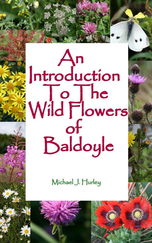Cover of the book An Introduction To The Wildflowers of Baldoyle by Michael J. Hurley, Michael J. Hurley