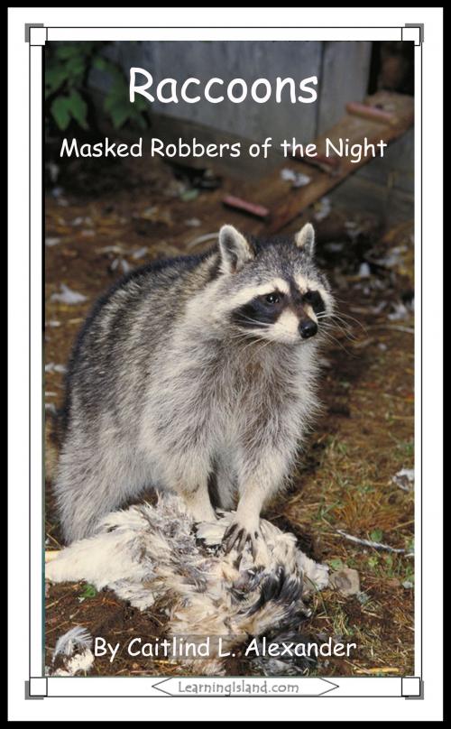 Cover of the book Raccoons: Masked Robbers of the Night by Caitlind L. Alexander, LearningIsland.com