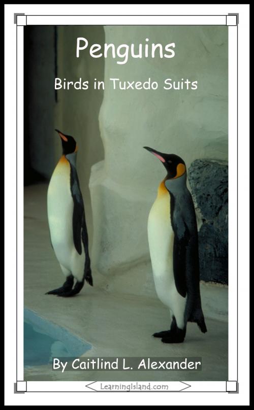 Cover of the book Penguins: Birds in Tuxedo Suits by Caitlind L. Alexander, LearningIsland.com