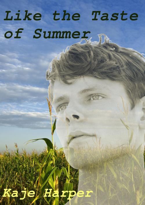 Cover of the book Like the Taste of Summer by Kaje Harper, Kaje Harper