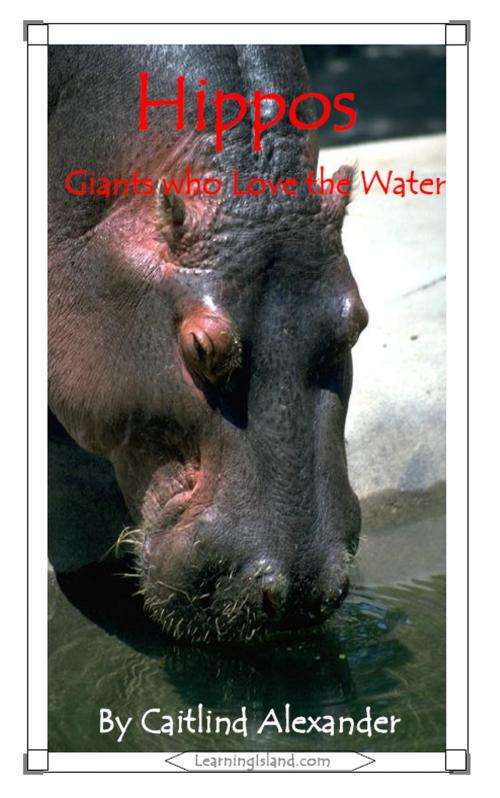 Cover of the book Hippos: Giants Who Love the Water by Caitlind L. Alexander, LearningIsland.com