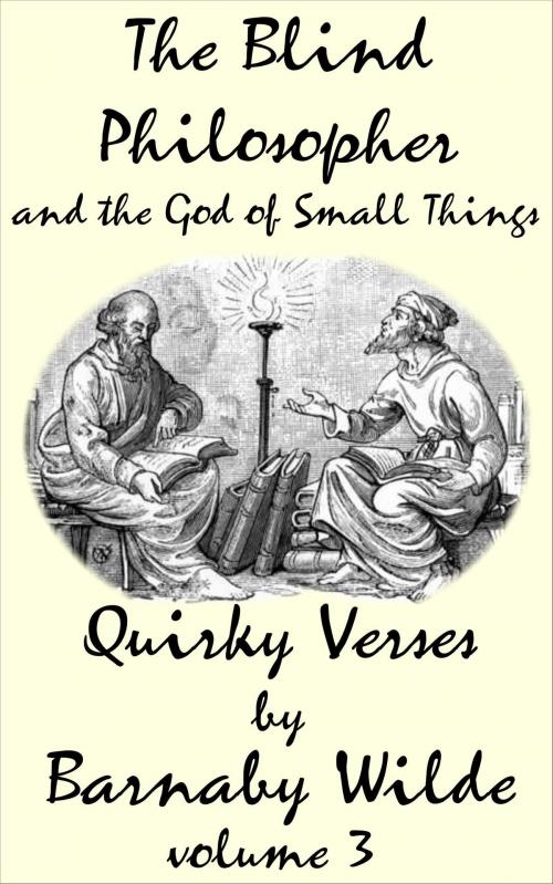 Cover of the book The Blind Philosopher and the God of Small Things by Barnaby Wilde, Barnaby Wilde