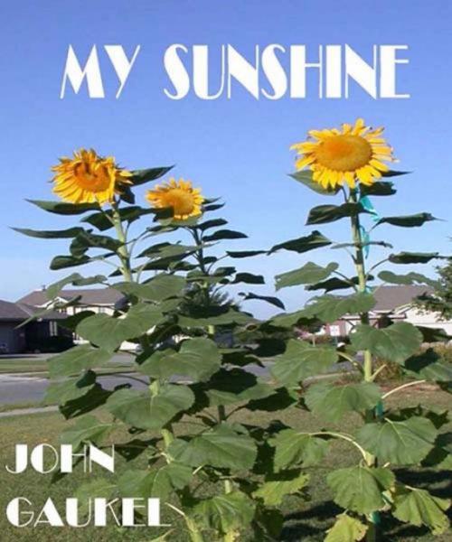 Cover of the book My Sunshine by John Gaukel, John Gaukel