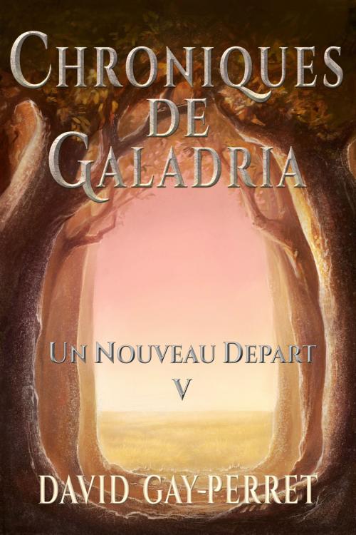 Cover of the book Chroniques de Galadria V: Un Nouveau Départ by David Gay-Perret, David Gay-Perret