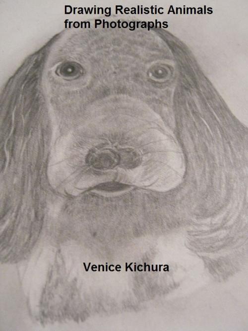Cover of the book Drawing Realistic Animals from Photographs by Venice Kichura, Venice Kichura