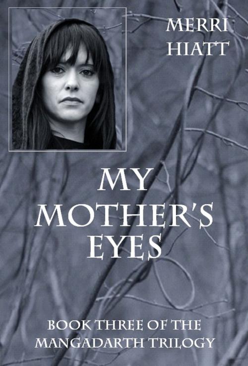 Cover of the book My Mother's Eyes by Merri Hiatt, Merri Hiatt