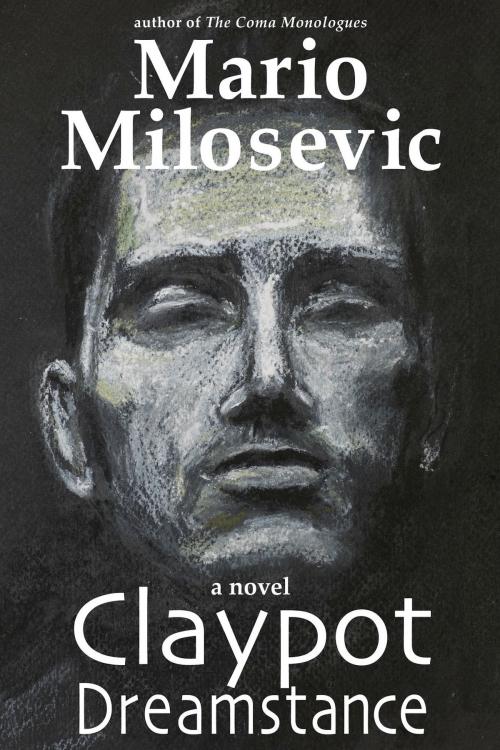 Cover of the book Claypot Dreamstance by Mario Milosevic, Green Snake Publishing