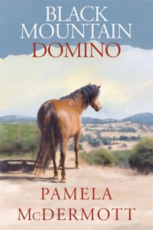 Cover of the book Black Mountain Domino by Pamela McDermott, Elderberry Press, Inc.