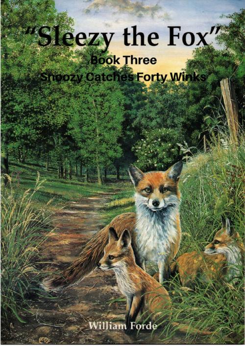 Cover of the book Sleezy the Fox: Story Three - Snoozy Catches Forty Winks by William Forde, William Forde