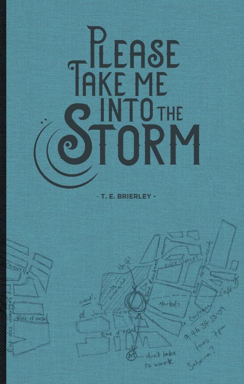 Cover of the book Please Take Me Into The Storm by T.E. Brierley, Winter Island Press