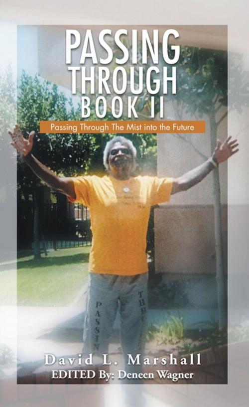Cover of the book Passing Through Book Ii by David L. Marshall, Trafford Publishing