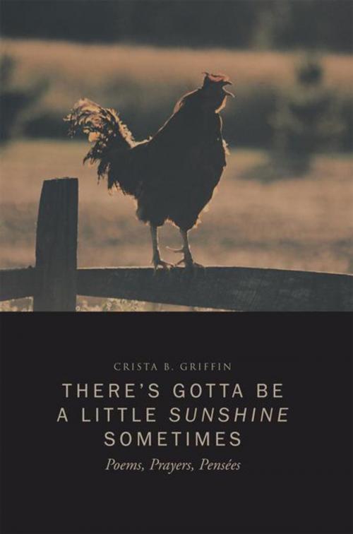 Cover of the book There’S Gotta Be a Little Sunshine Sometimes by crista b. griffin, Trafford Publishing