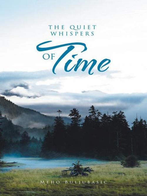 Cover of the book The Quiet Whispers of Time by Meho Buljubasic, Trafford Publishing
