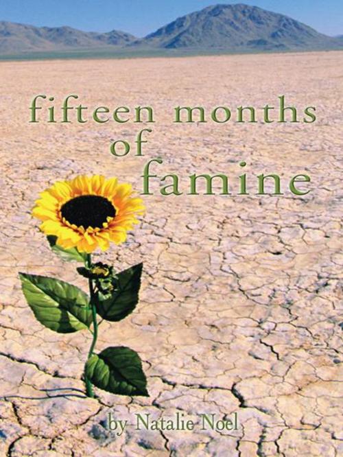 Cover of the book Fifteen Months of Famine by Natalie Noel, Trafford Publishing