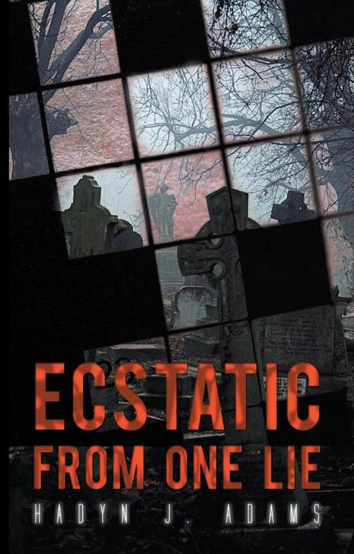 Cover of the book Ecstatic from One Lie by Hadyn J. Adams, AuthorHouse UK