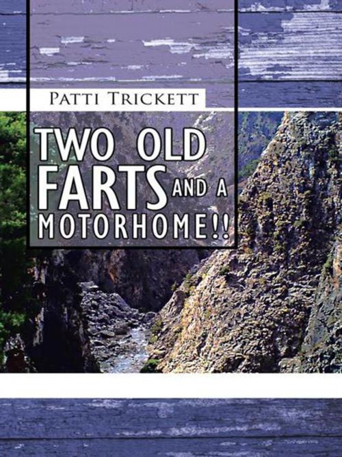 Cover of the book Two Old Farts and a Motorhome!! by Patti Trickett, AuthorHouse UK