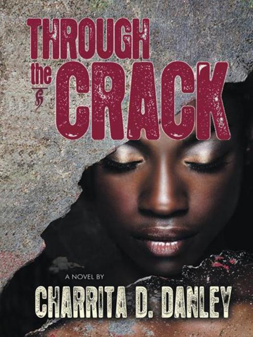 Cover of the book Through the Crack by Charrita D Danley, AuthorHouse