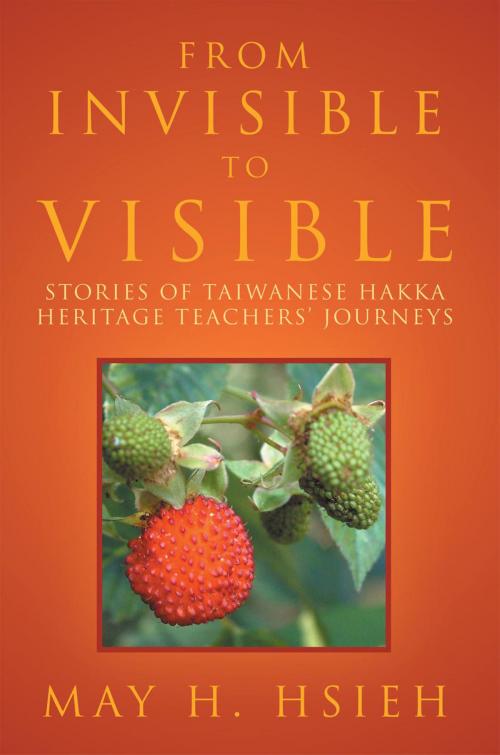 Cover of the book From Invisible to Visible: Stories of Taiwanese Hakka Heritage Teachers' Journeys by May H. Hsieh, Xlibris US
