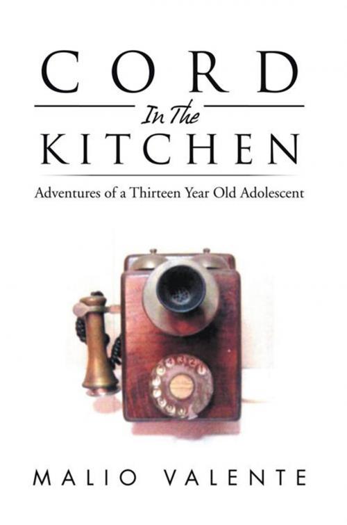 Cover of the book Cord in the Kitchen by Malio Valente, Xlibris US