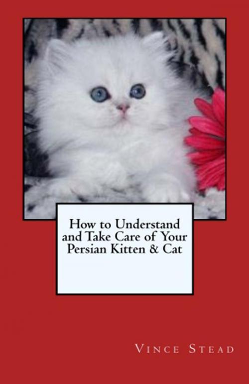 Cover of the book How to Understand and Take Care of Your Persian Kitten & Cat by Vince Stead, Vince Stead