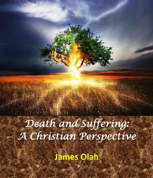 Cover of the book Death and Suffering: A Christian Perspective by James Olah, James Olah