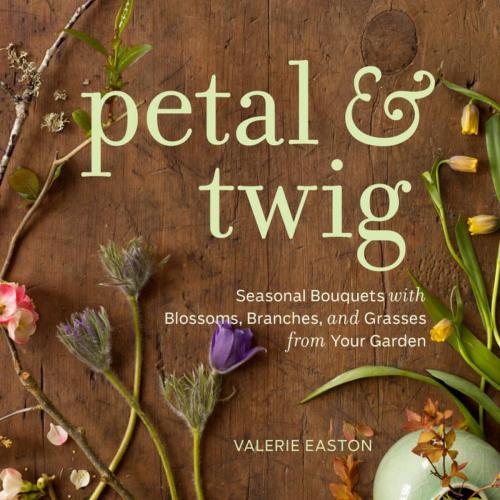 Cover of the book Petal & Twig by Valerie Easton, Sasquatch Books