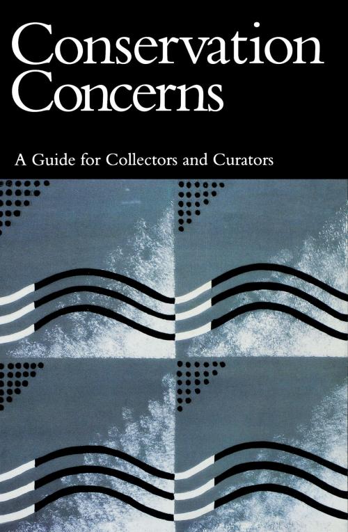 Cover of the book Conservation Concerns by Konstanze Bachmann, Smithsonian