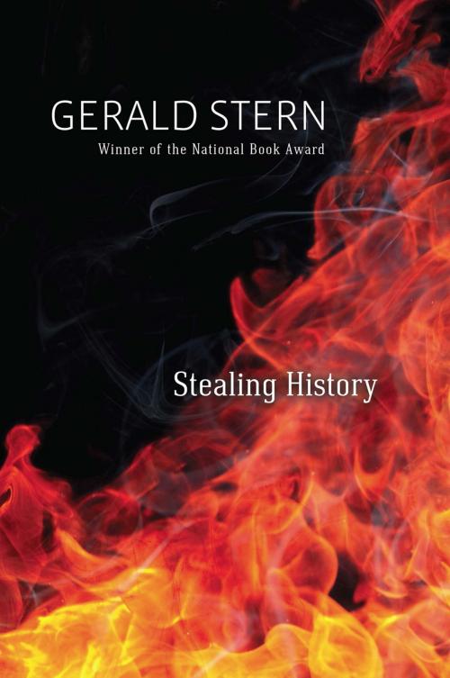 Cover of the book Stealing History by Gerald Stern, Trinity University Press