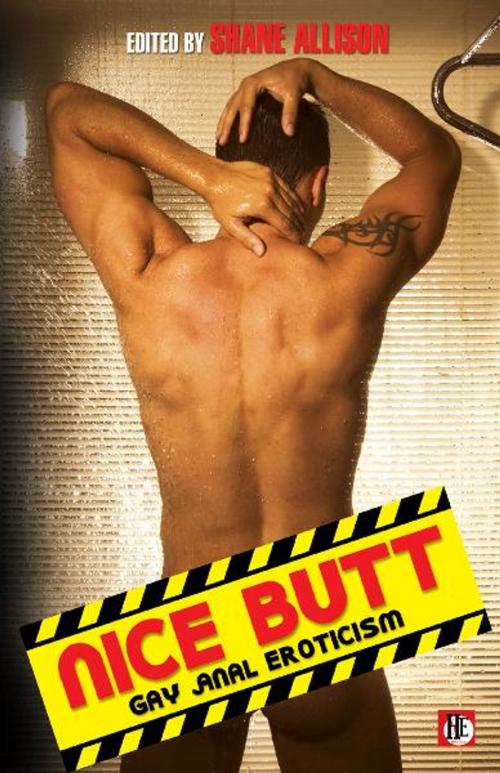 Cover of the book Nice Butt: Gay Anal Eroticism by , Bold Strokes Books