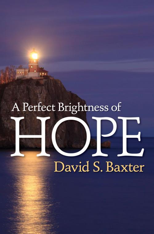 Cover of the book A Perfect Brightness of Hope by Baxter, David S., Deseret Book Company